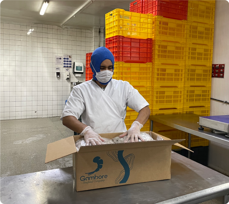 10.-Elemento-página-nosotros