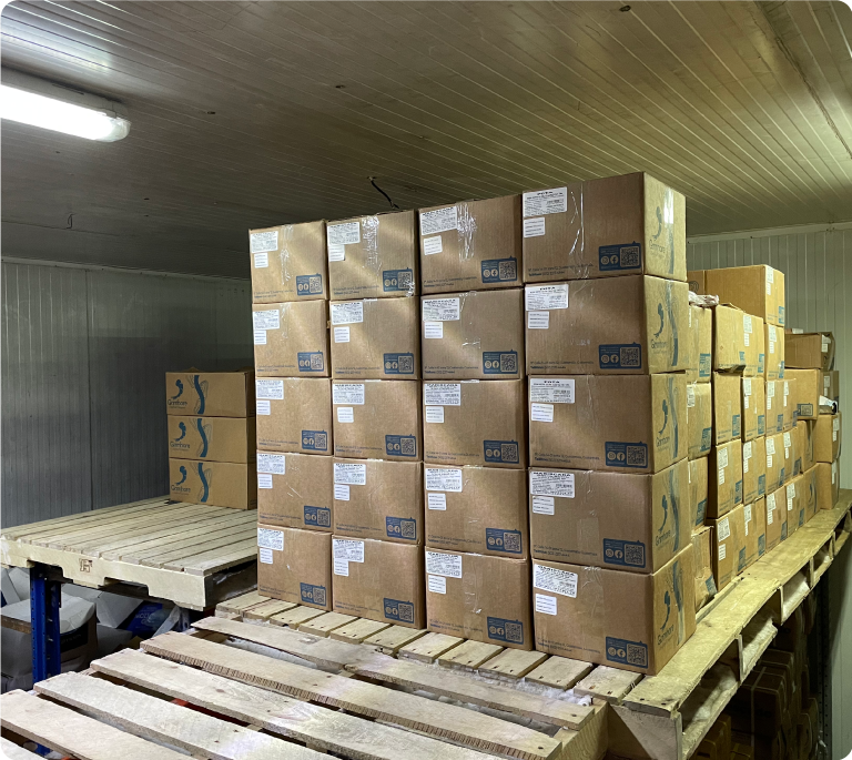 11.-Elemento-página-nosotros